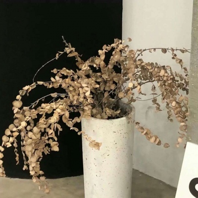 罗源福瑞交流群